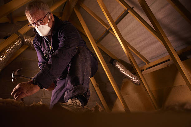 Best Cellulose Insulation in Monticello, AR