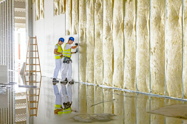 Best Residential Insulation in Monticello, AR